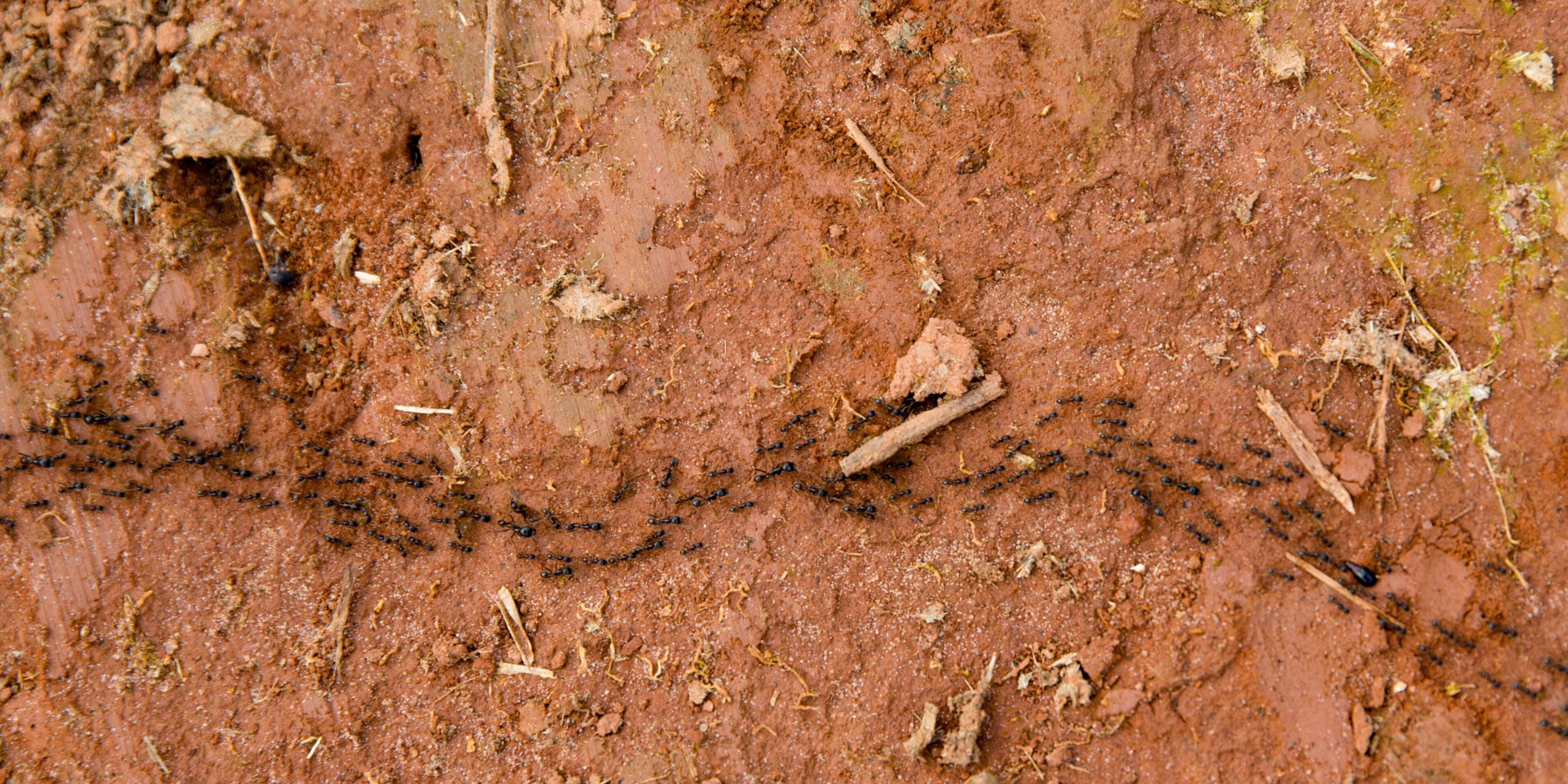 Getting Antsy? Trust God Even When You Can’t See the End of the Road