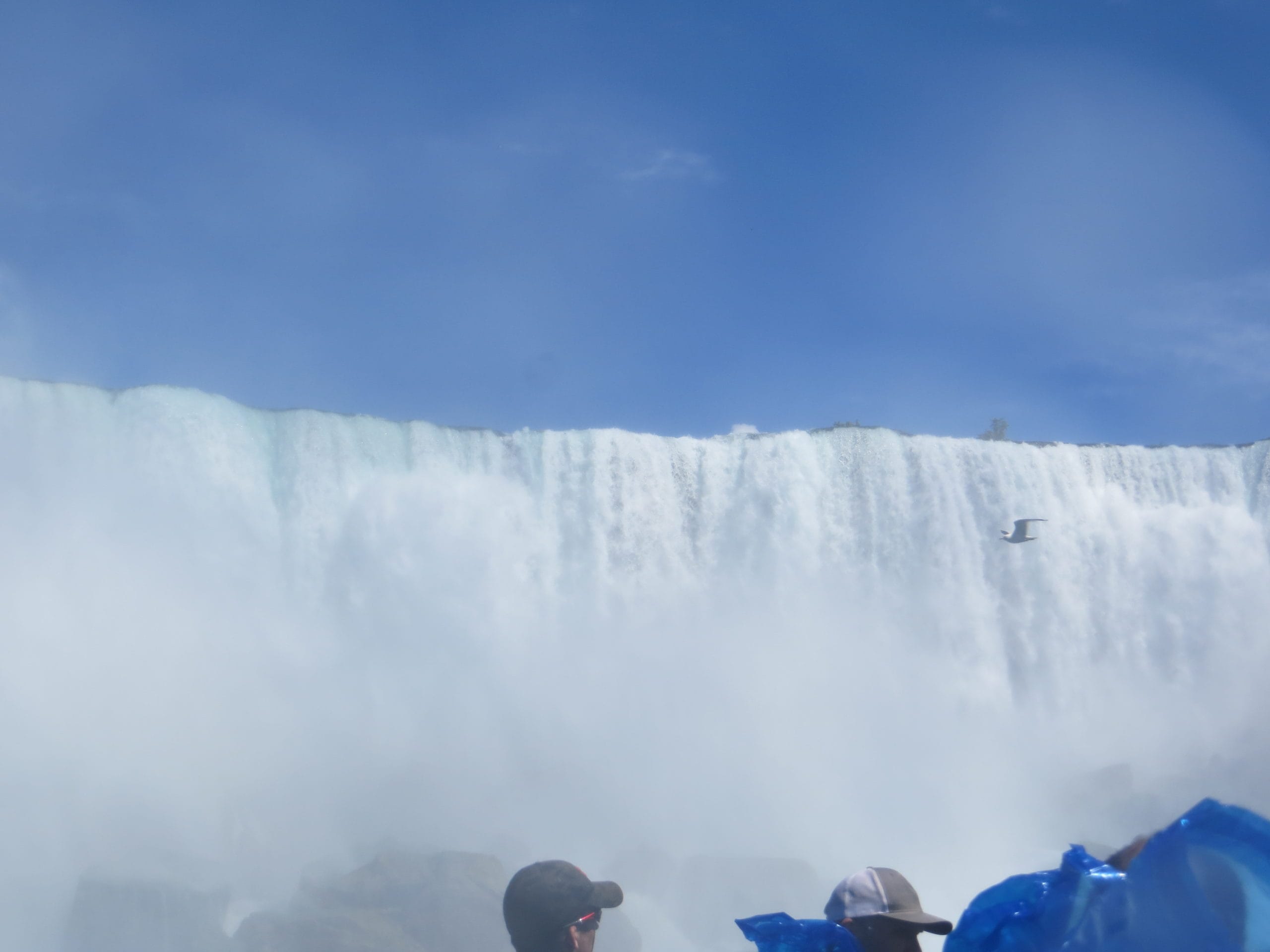 How Then Shall We Live?